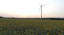 Imagen de La energía renovable sumó casi 930 MW en nuevos parques, ¿qué se espera para 2025?
