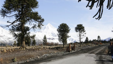 Licitan el asfalto de dos rutas estratégicas para el turismo en la cordillera de Neuquén (Foto: gentileza)