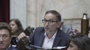 Veto a la reforma jubilatoria: Agustín Domingo justificó la abstención para darle «gobernabilidad» a Milei