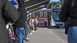 Feriado en Neuquén: ¿Cómo funcionarán los servicios de colectivos y estacionamiento este 2 de abril?