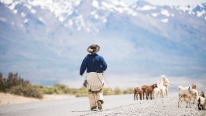Estado de las rutas en Neuquén este jueves 5 de septiembre