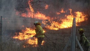 Video | Impactante incendio en el Tercer Puente en Neuquén: hubo corte de tránsito y siete intoxicados por el humo