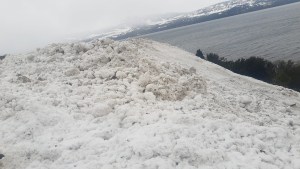 Avalancha en el parque nacional Lanín: cómo es el trabajo con drones para tratar de desbloquear el camino