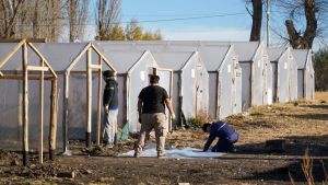 En las cárceles de Zapala los detenidos cultivarán las verduras que consumen a diario