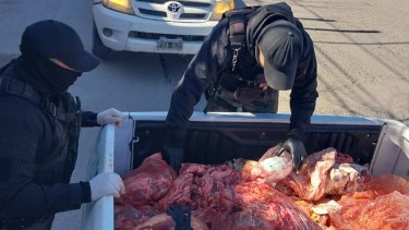 Las inspecciones se realizaron el martes y ayer. Foto gentileza