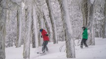 Imagen de El cerro Chapelco va a tener «una temporada difícil» por los tiempos de la licitación, reconoció el gobierno