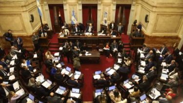 El Senado con sesión este jueves. Foto: NA