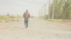 Alerta por viento zonda cerca de Neuquén y lluvia en Chubut este jueves: ráfagas de 65 km/h