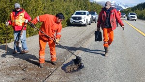 Ruta 40 entre Bariloche y El Bolsón: precaución al transitar por tareas de bacheo