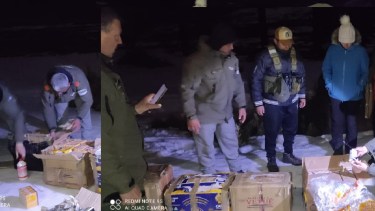 Descubren a una banda que traficaba fármacos veterinarios hacia Chile desde Neuquén  