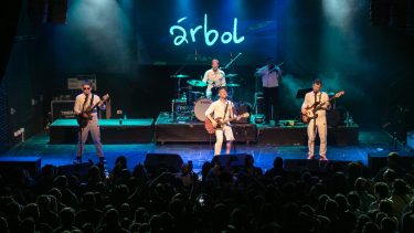 Árbol en Club Paraguay, de la ciudad de Córdoba, hace un par de semanas.