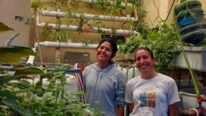 ¿Y si pudieras producir toda la verdura y el pescado que comés? Un proyecto en Río Negro te enseña cómo, mirá