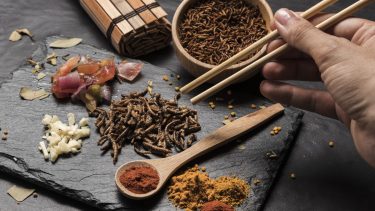 Los insectos comestibles tienen múltiples ventajas para el ambiente 