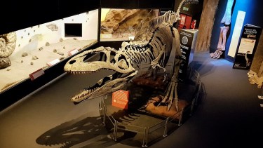 Susana Giménez fue invitada a la reinauguración del Museo Paleontológico Egidio Feruglio en Chubut. (Foto: gentileza)