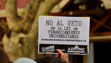 25 mil personas marcharon en Neuquén. Foto: Ceci Maletti