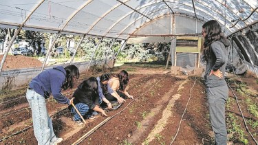 Educación agraria.