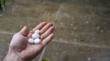 Imagen de ¿Volverá el granizo en el Alto Valle?: un especialista anticipó lo que se viene para esta semana
