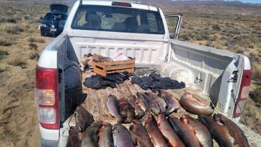 Pesca furtiva en Neuquén. Foto: gentileza. 