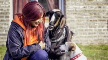 Imagen de Cómo fue el rescate de Vilma, la cabra de Neuquén que la rompe en TikTok y es famosa a nivel mundial