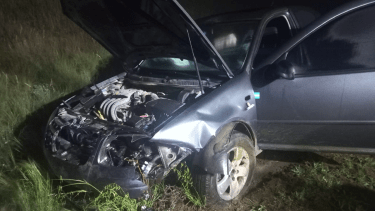 Chocaron contra un jabalí en la Ruta 250. Foto: Exitos 96.9 Gral Conesa