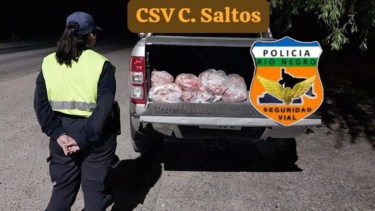 Secuestran 65 toneladas de carne vacuna en Cinco Saltos 