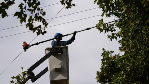 Edersa anunció corte de luz este jueves en Roca: zonas afectadas y horarios