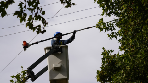 Nuevos cortes de luz en Río Negro este miércoles: zonas afectadas y cuántas horas