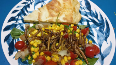El snack está elaborado con larvas de escarabajos tostadas y condimentadas. Puede consumirse solo o en recetas