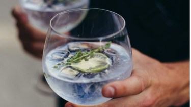 El Festival dle Gin llega a Neuquén. (Foto: archivo)