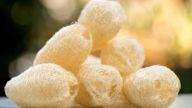 Esponjas de cocina: ¿Con qué reemplazarlas para contribuir al medioambiente y economizar?