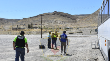 Rescataron a tres perritas que estaban encerradas en un colectivo en Chos Malal. Foto: Policía de Neuquén