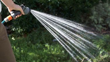 A partir de este mes, las plantas necesitan más agua. 