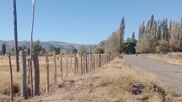 Campo en el que ocurrieron los hechos. Foto: Gentileza