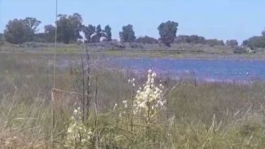 El cementerio está próximo a la laguna La Azotea. Foto: gentileza