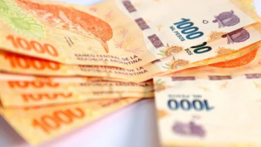 Aguinaldo de Anses en diciembre 2024. 