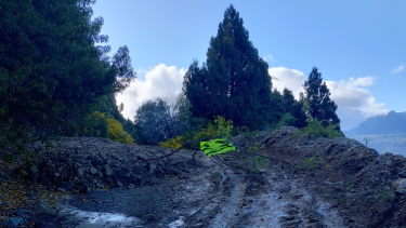 Foto: prensa Parque Nacional Lanín.