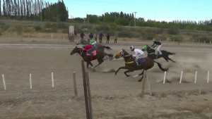 Murió un caballo durante una carrera en el hipódromo de Bariloche