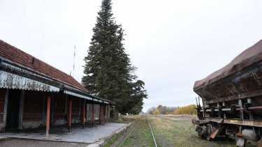 Tren de pasajeros en el Alto Valle. Crédito Juan Thomes.