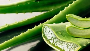 Aloe vera | Cómo aplicarla en la cara para hidratar la piel