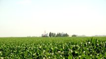 Imagen de Sorpresa: por qué el campo reapareció con una lluvia de dólares en noviembre