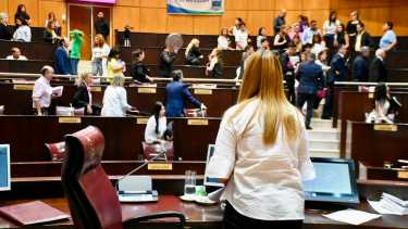 Gloria Ruiz fue convocada este viernes en la Legislatura de Neuquén. Foto: Matías Subat. 
