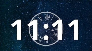 El portal que debes aprovechar hoy 11 de noviembre. 