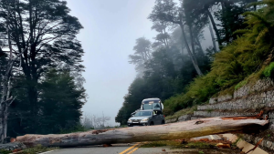 Ruta 40 | El camino de los Siete Lagos estuvo bloqueado por un gigante natural: ya quedó liberado
