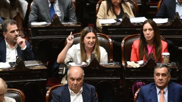 Ficha Limpia, fallida en Diputados. Foto: gentileza Infobae. 