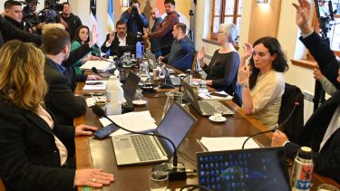 Los concejales de Bariloche, por mayoría, ratificaron la continuidad de Tomás Hercigonja en su banca, por el PUL. Foto: Chino Leiva