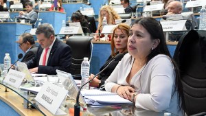 Nuevo proyecto para permitir el uso de armas no letales en la Policía de Río Negro