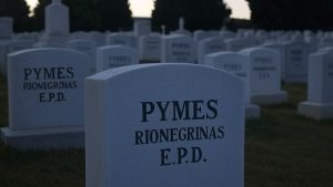Empresarios de Río Negro apuntan a la Provincia: «No puede ser cómplice del cierre de sus pymes»