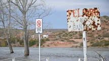 Imagen de «El río Negro está sano», dijo Rodrigo Buteler: Cipolletti tendrá balneario este verano 2025