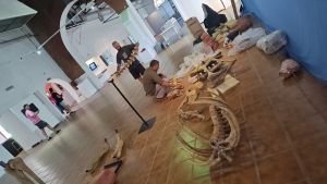 Verano 2025 en Neuquén: los dinosaurios llegan al Gregorio Álvarez, ideal para una actividad con niños