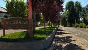 Murieron dos hombres en Neuquén: su camioneta cayó por un precipicio y sus amigos sobrevivieron